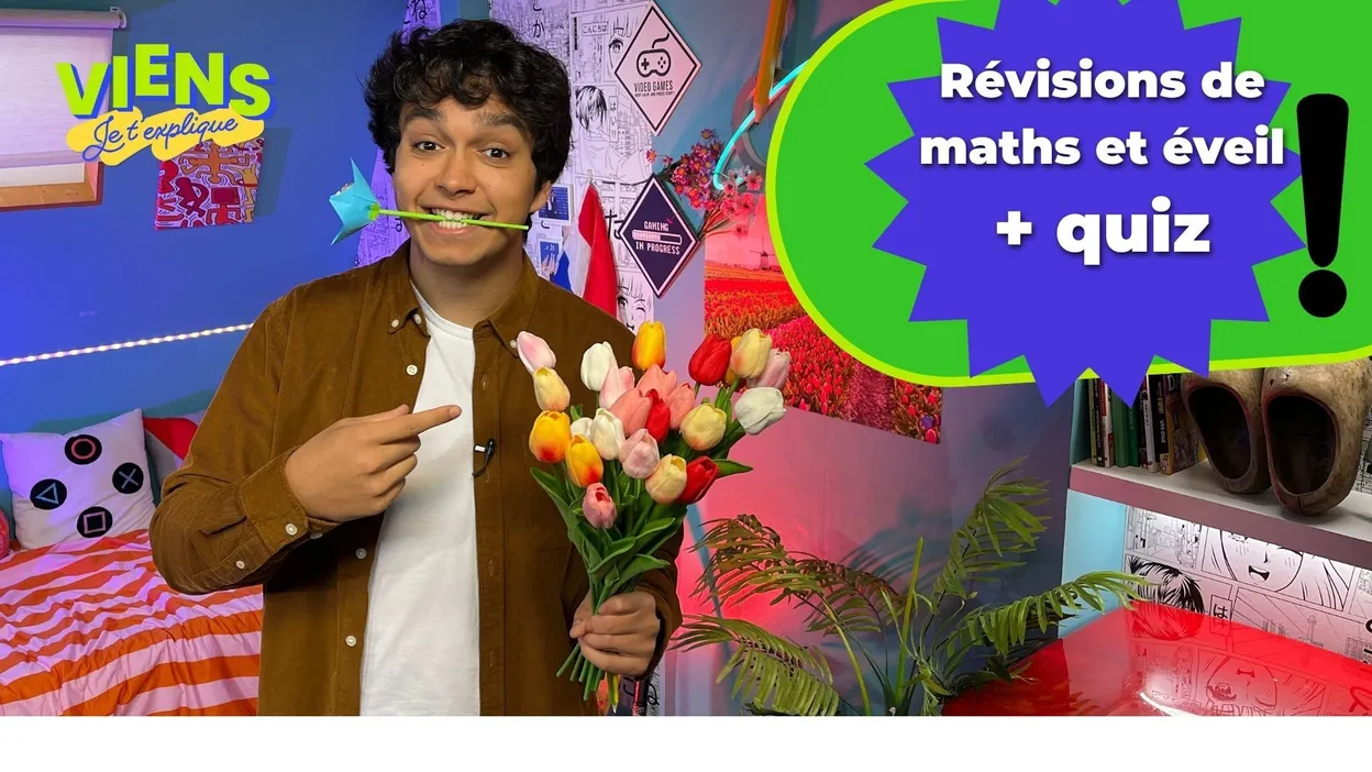 ceb-de-math-matiques-solides-et-figures-grandeurs-nombres-et
