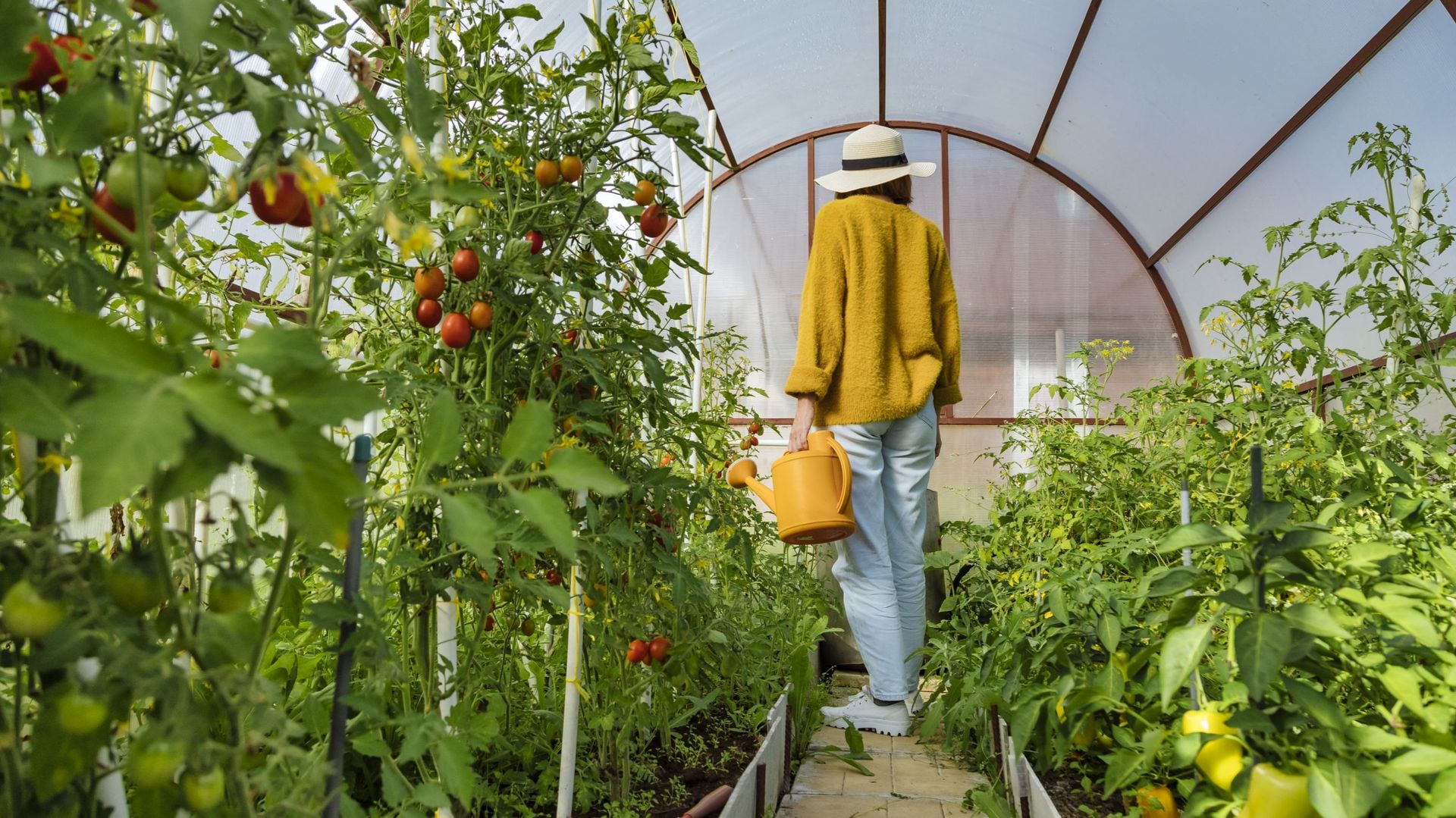 CONCOURS : remporter le "Guide de la serre. Choisir – Installer – Cultiver"