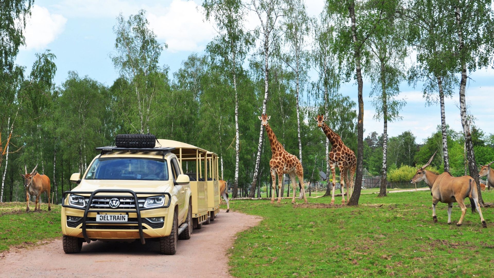 Parcs animaliers, attractions… 4 activités à faire en Wallonie pendant les vacances