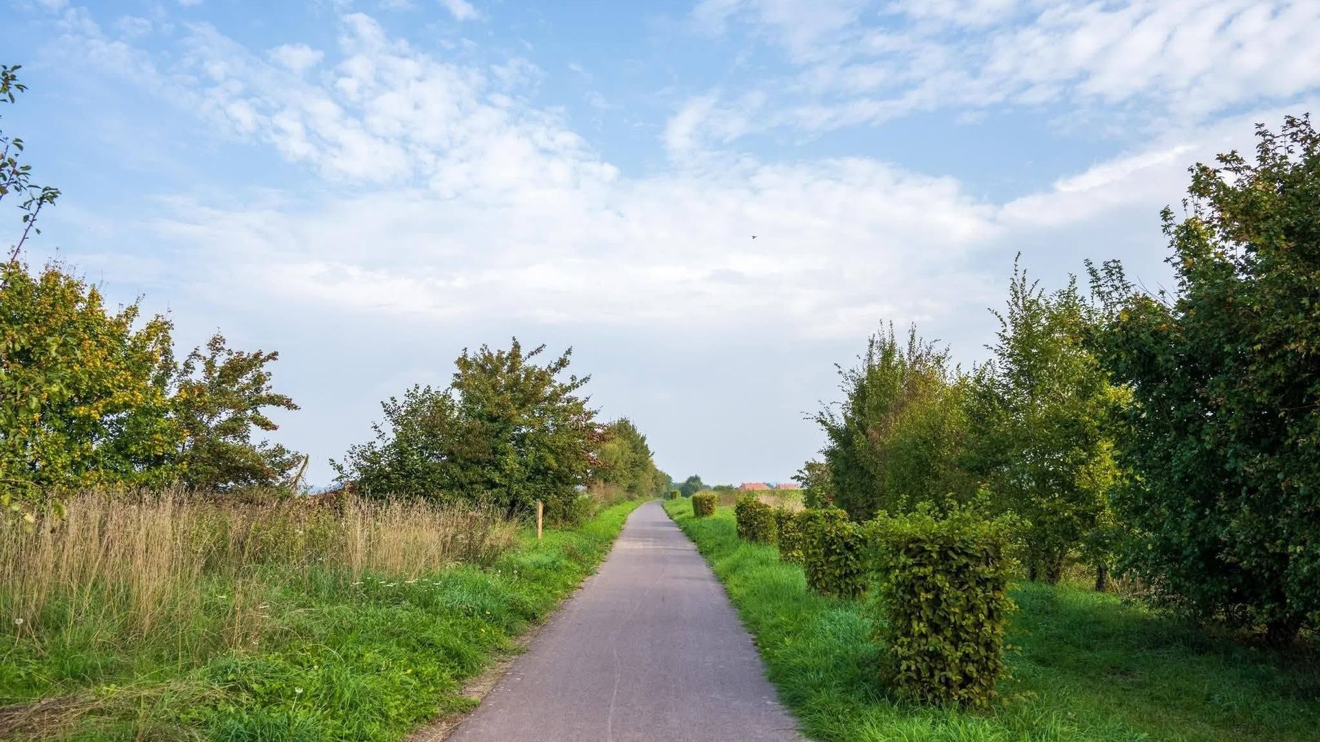 Météo en Belgique : quelques ondées dans le nord du pays, de belles éclaircies au sud