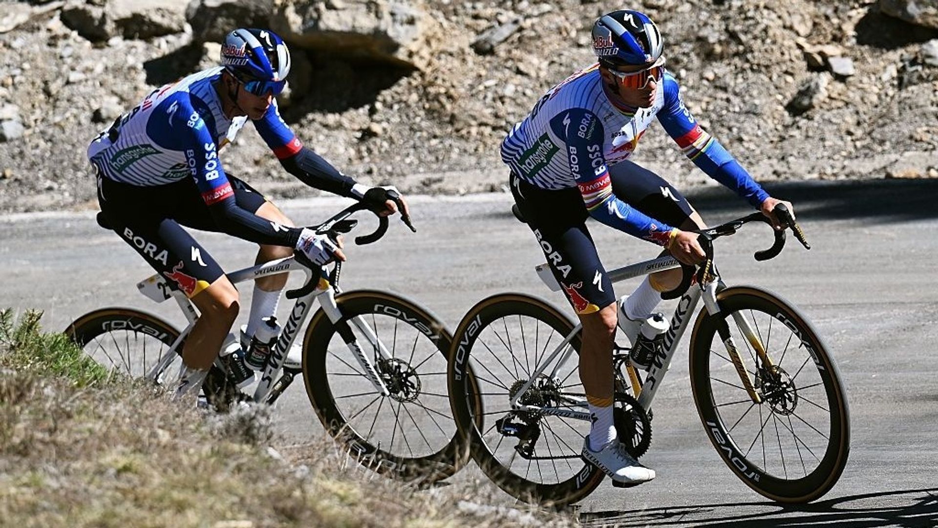 Pas de hiérarchie figée chez Red Bull avant le Tour : Evenepoel et Lipowitz se départageront sur la route