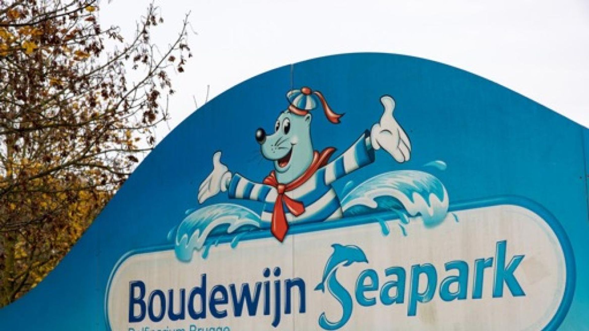 Une enquête ouverte sur le dysfonctionnement d'une attraction au Boudewijn Seapark