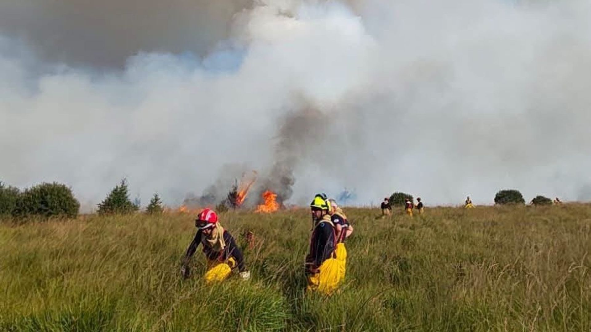 Un incendie dans les Fagnes, près de la Baraque Michel, le plan provincial déclenché - RTBF Actus