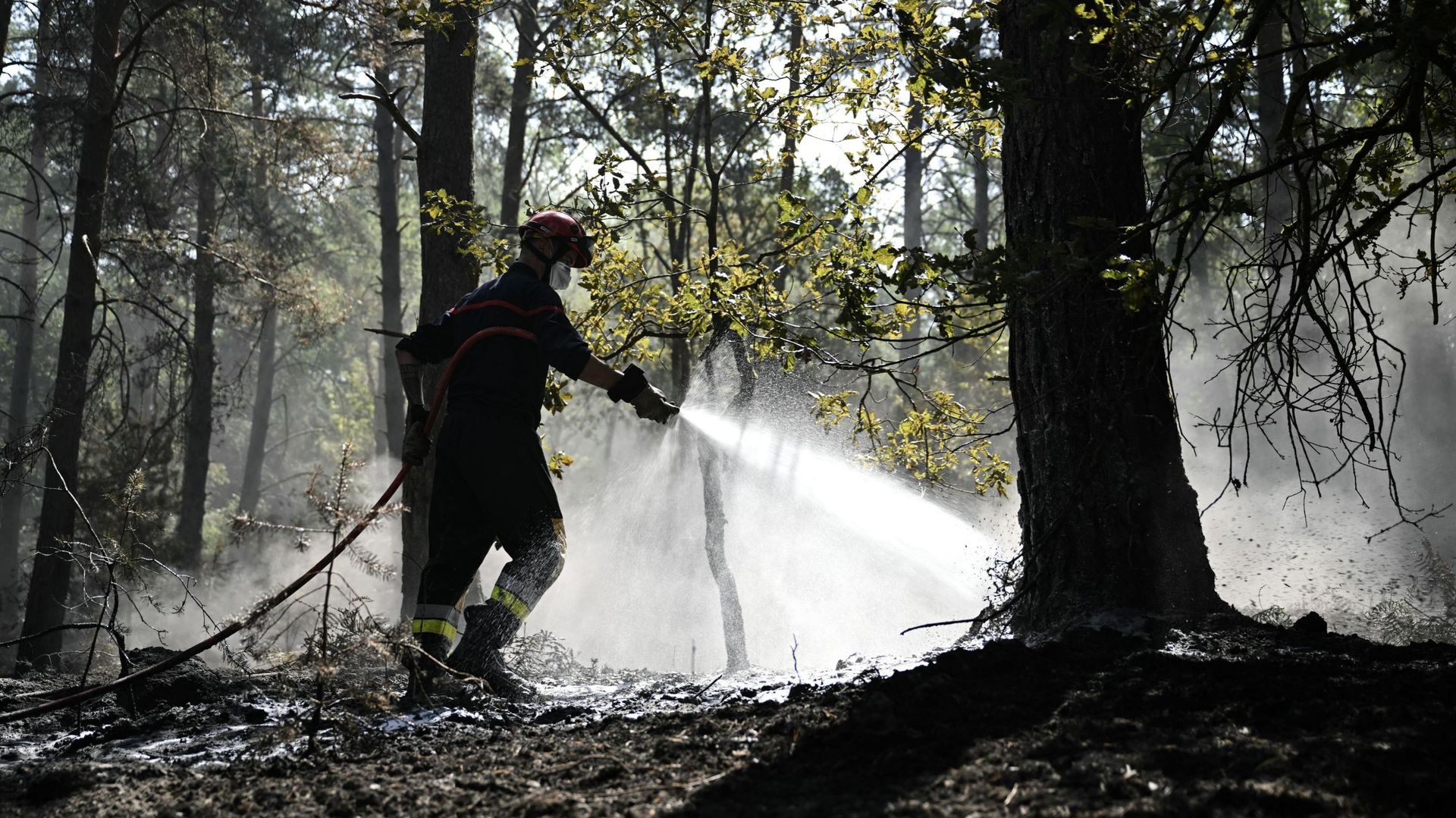 Incendies en forêt de Fontainebleau : un homme interpellé mardi soir ressorti libre, selon la procureure