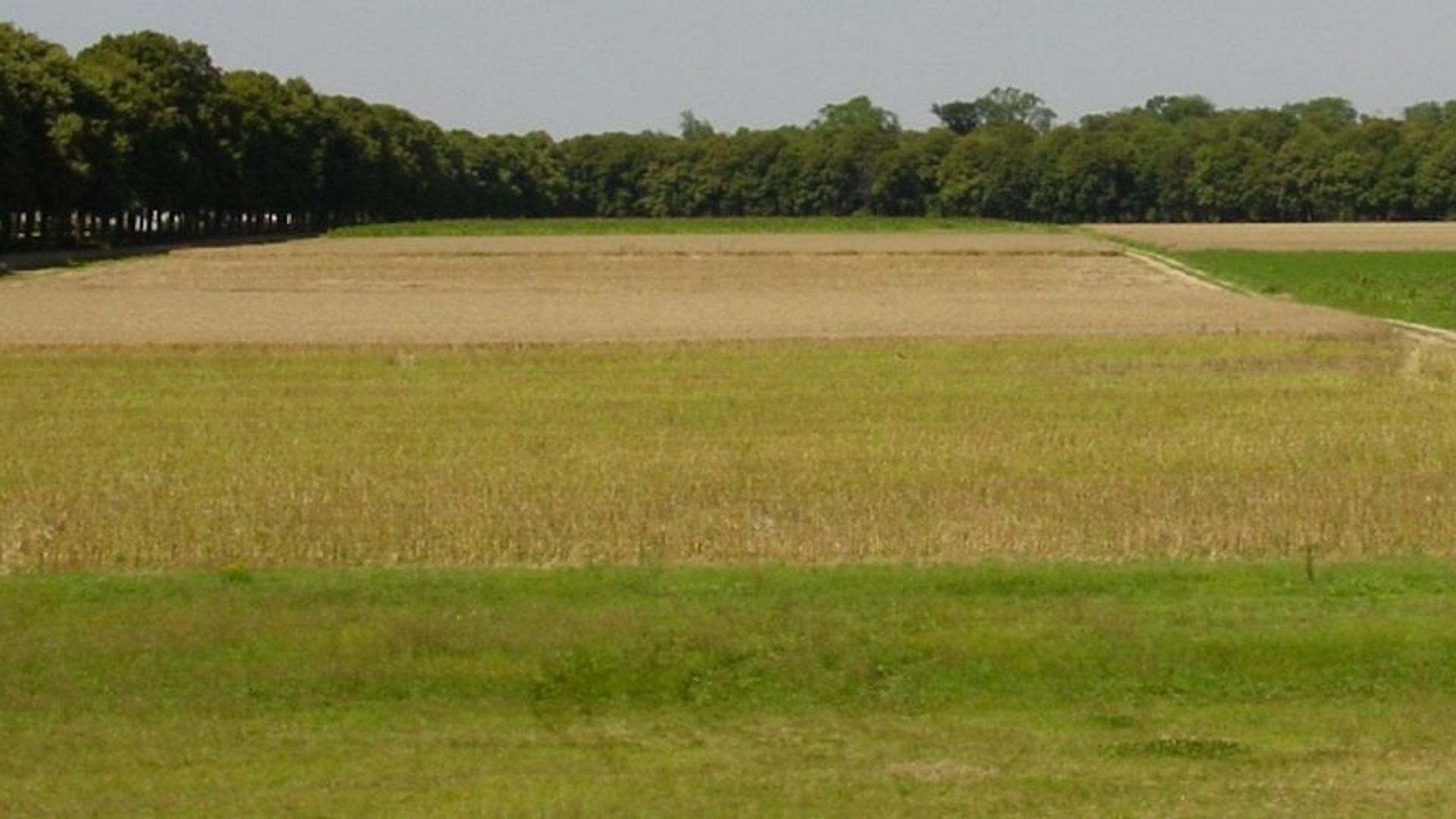 Produire de grandes cultures en agroécologie de manière rentable, c’est possible Produire de grandes cultures en agroécologie de manière rentable, c’est possible