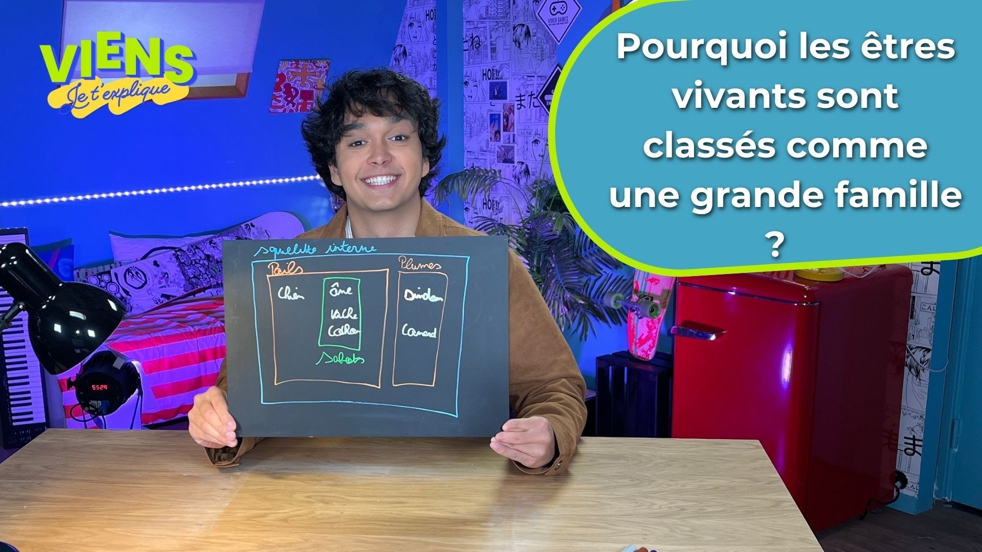 Pourquoi les êtres vivants sont-ils classés dans des ensembles ? Réponses dans Viens, je t'explique