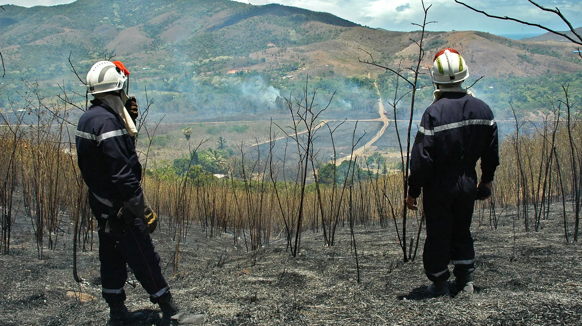 Feux de forêts : la pollution de l’air, première menace mondiale pour ...
