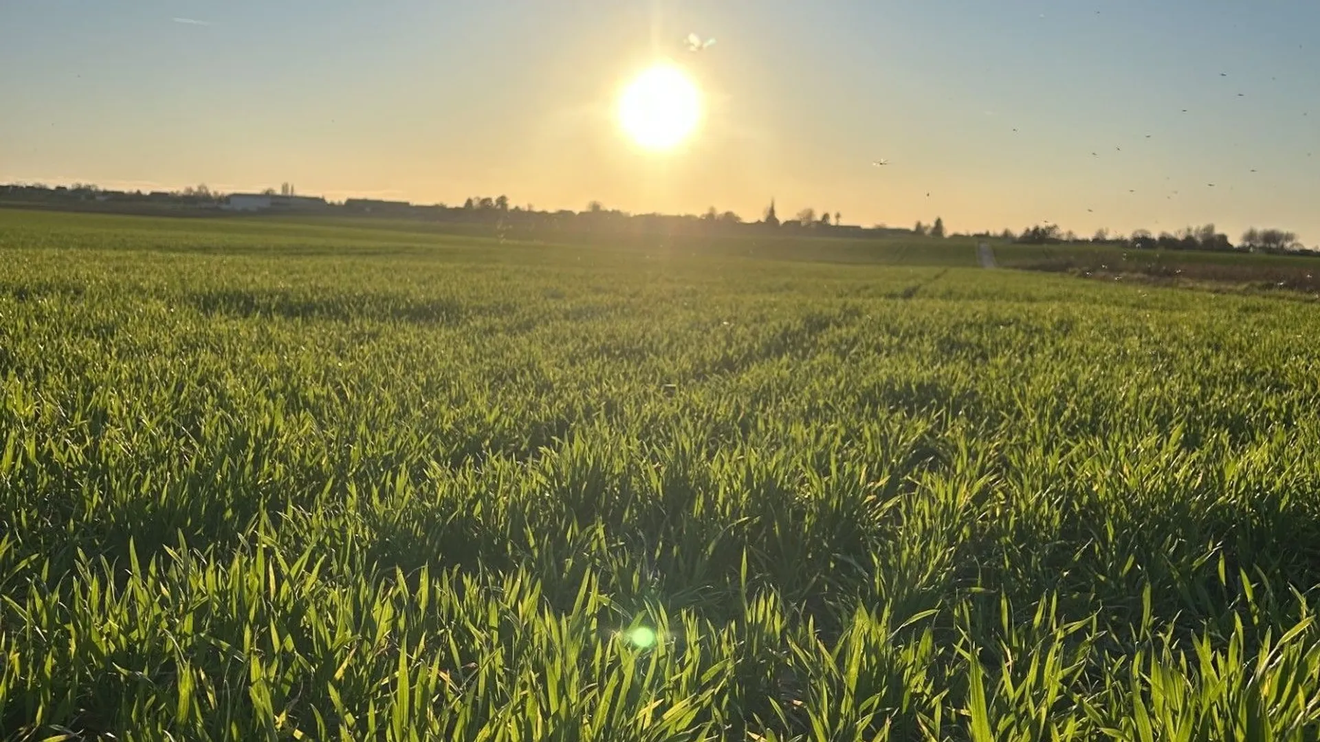 Maintenance des blindés belges : visite de l'arsenal de Rocourt avant ...