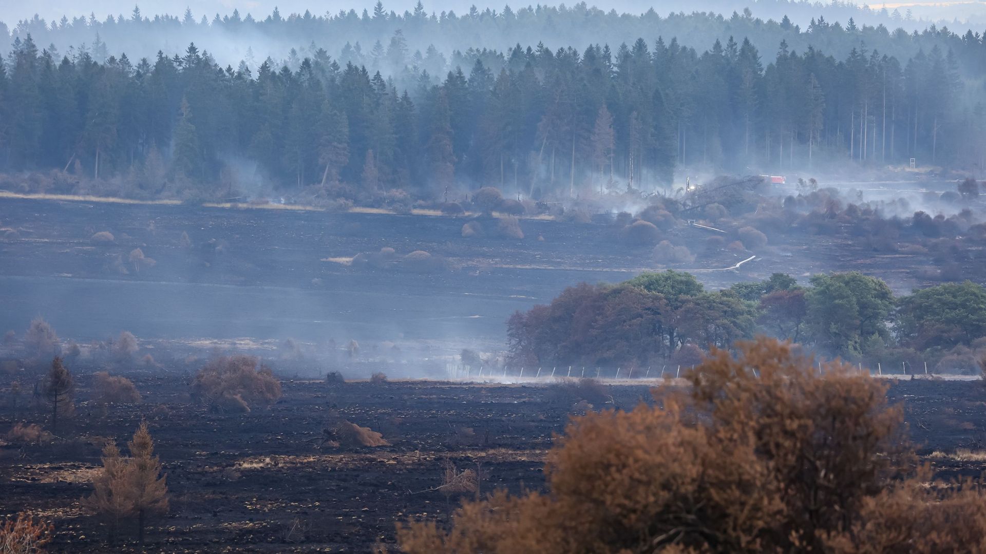 Incendie dans les Hautes Fagnes : une centaine de personnes mobilisées durant la nuit, la situation évolue favorablement