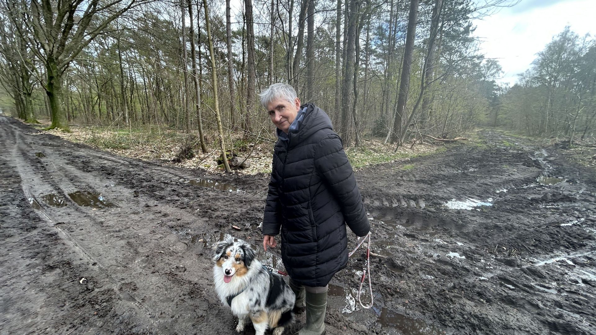 Des amoureux de la nature se mobilisent pour protéger le Bois de Baudour