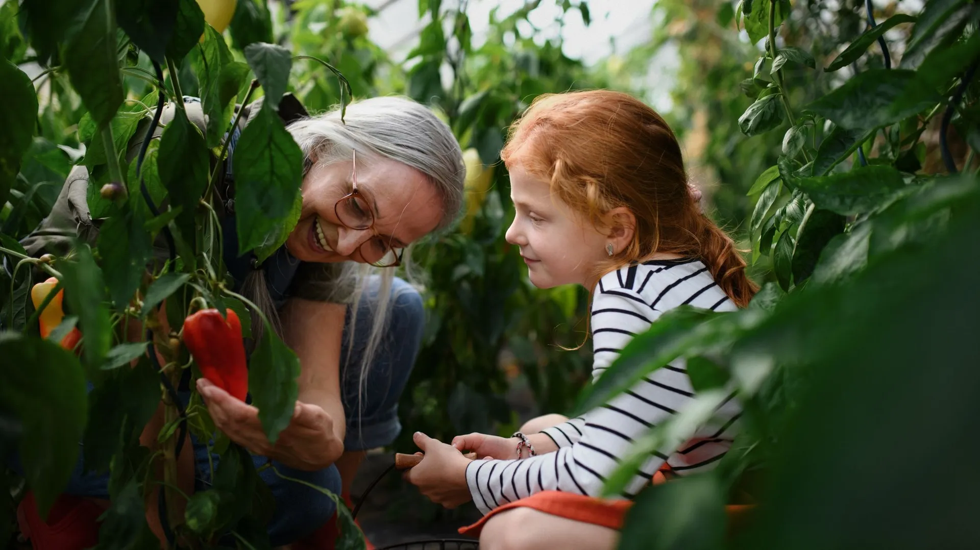 Travailler à temps partiel : quel impact sur votre pension ? - RTBF Actus