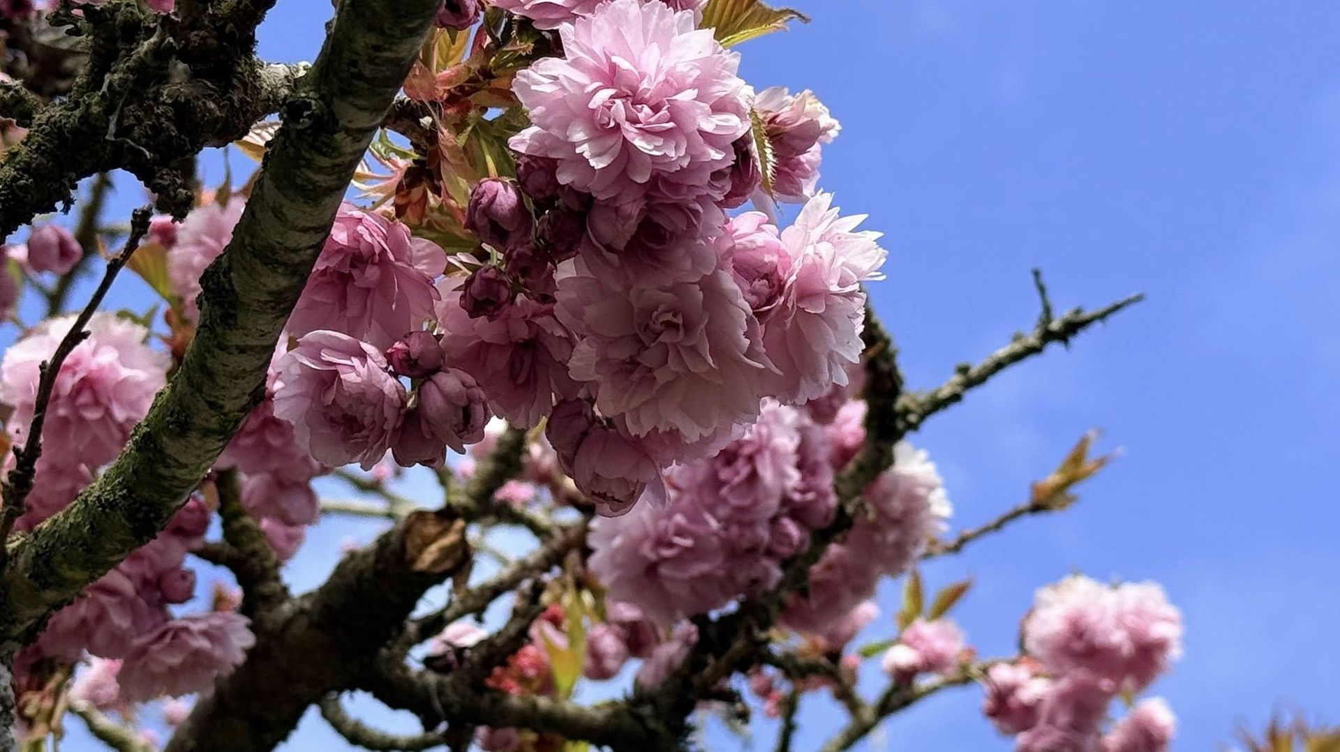 Mars 2026, quatorzième mois consécutif plus doux que la normale