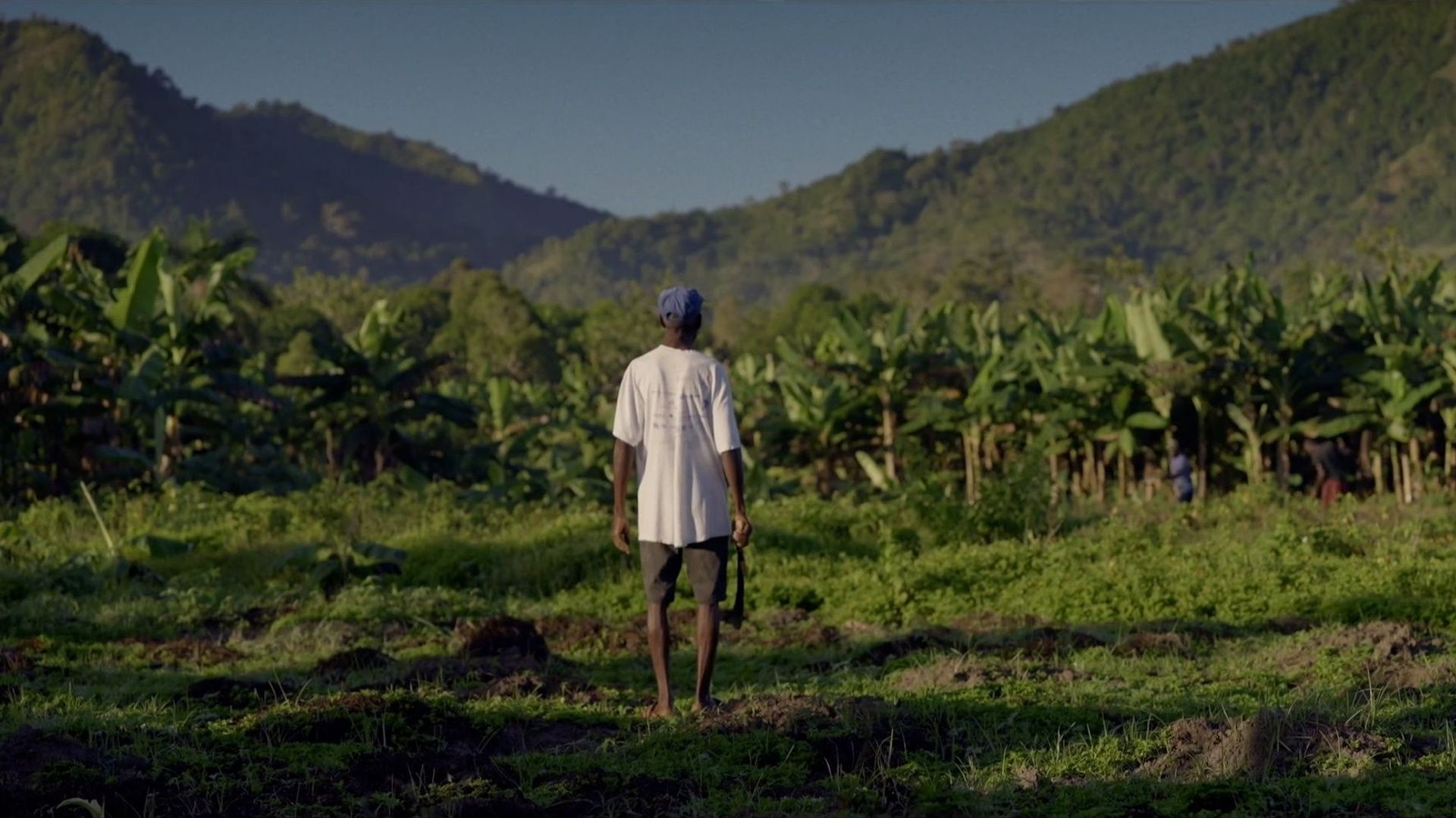 Haïti : libres, mais à quel prix ?