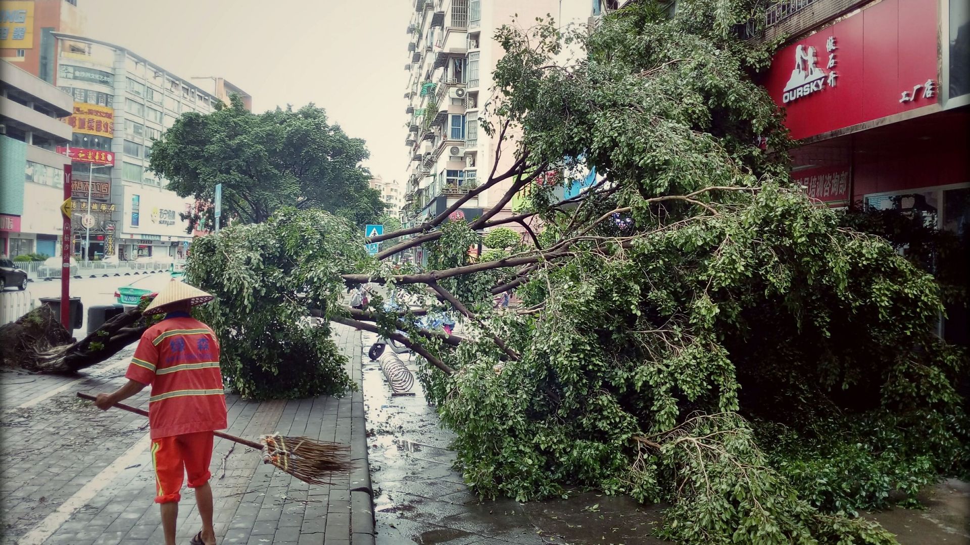 Arbres arrachés, chaos à Hong Kong: le typhon Mangkhut atteint la Chine (photos) - RTBF Actus