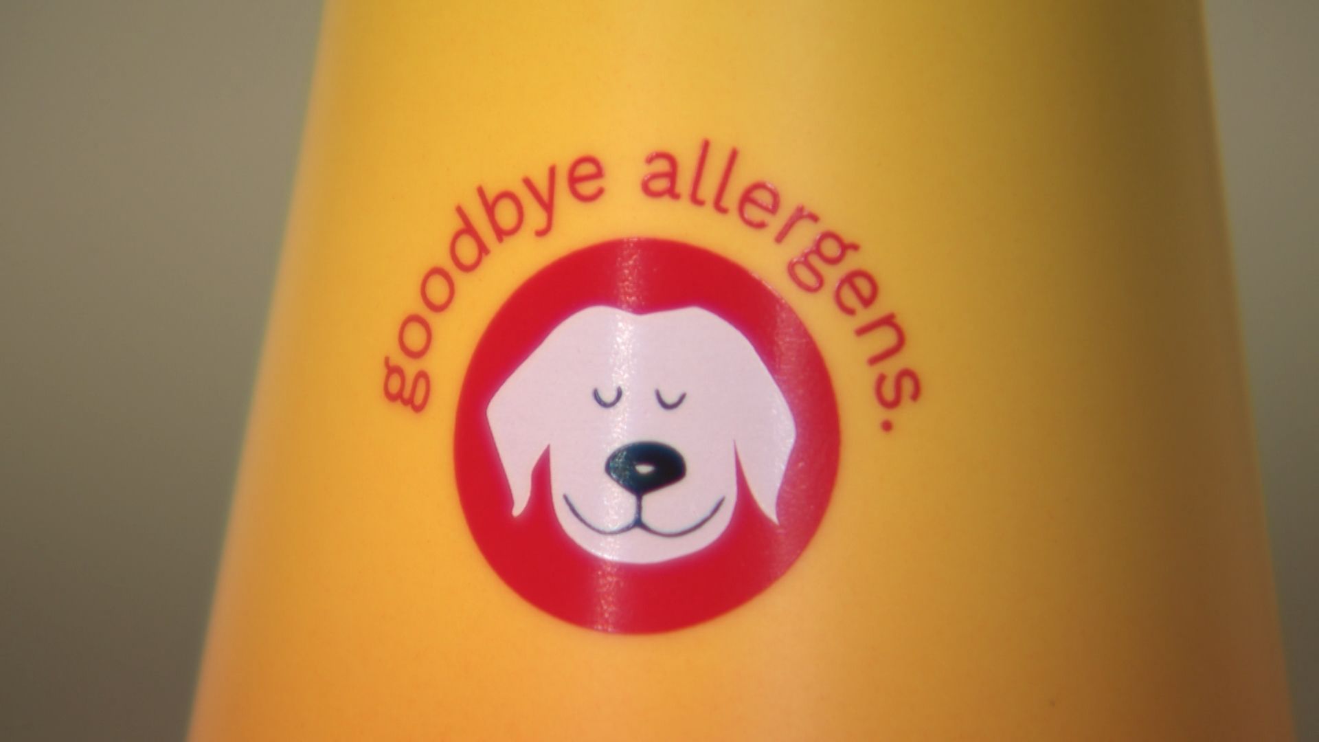 Allergie aux animaux : un produit testé pour soulager les symptômes