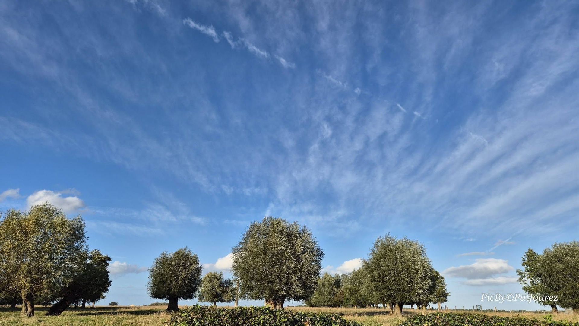 Météo en Belgique : un lundi au soleil et un thermomètre de saison pour cette nouvelle semaine