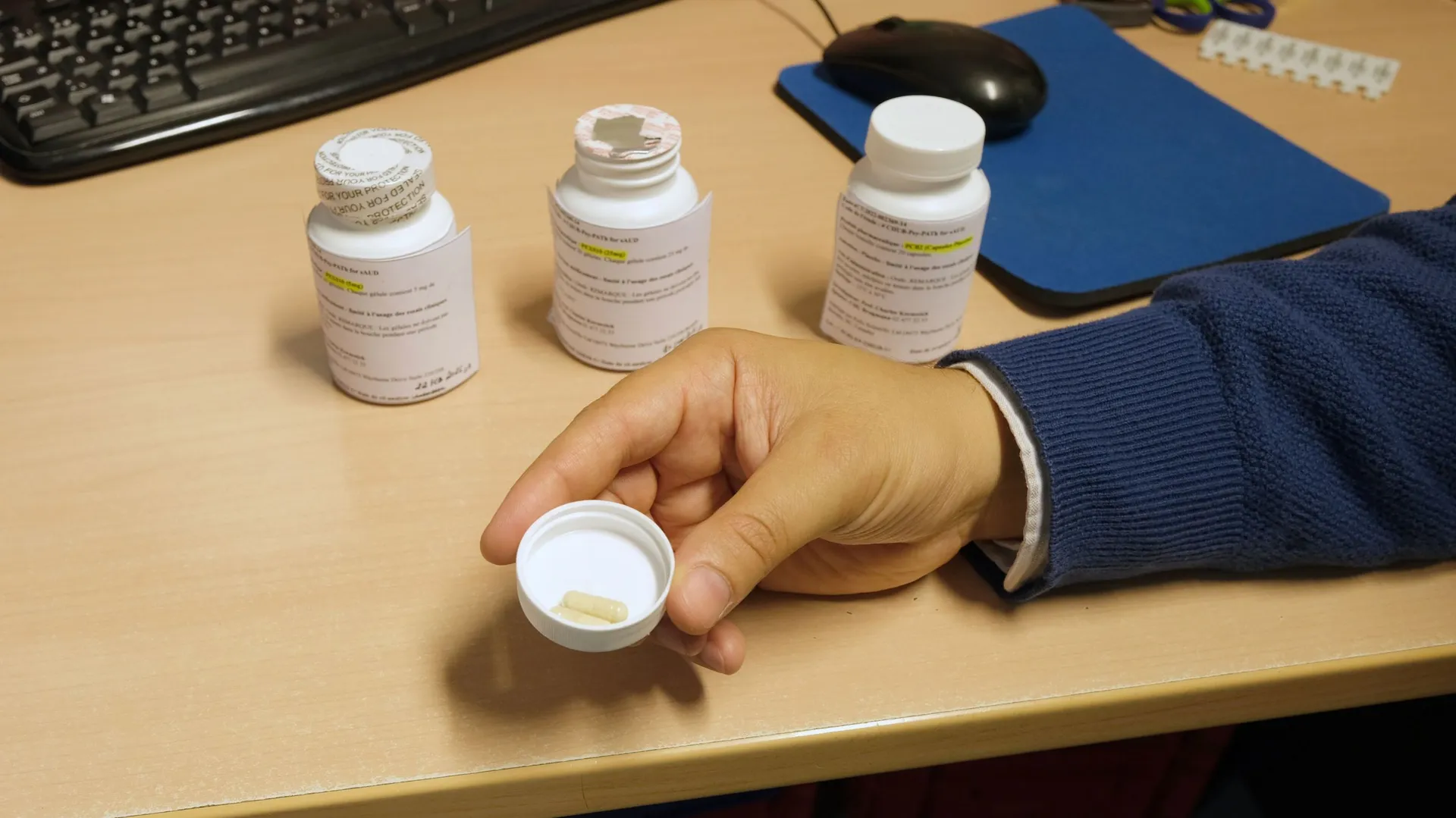 Kit Champi Hallucinogene