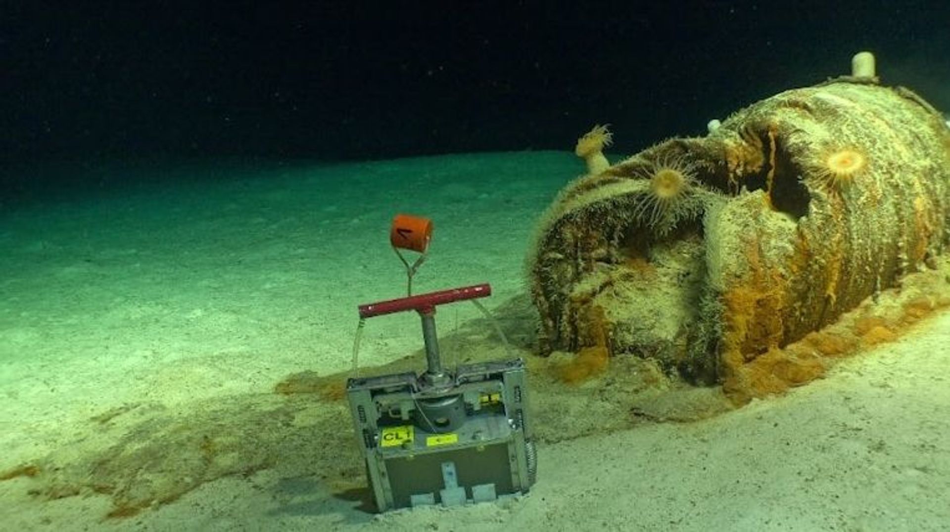Que deviennent les fûts de déchets radioactifs immergés dans l’Atlantique dans les années 1970 et 1980 ?