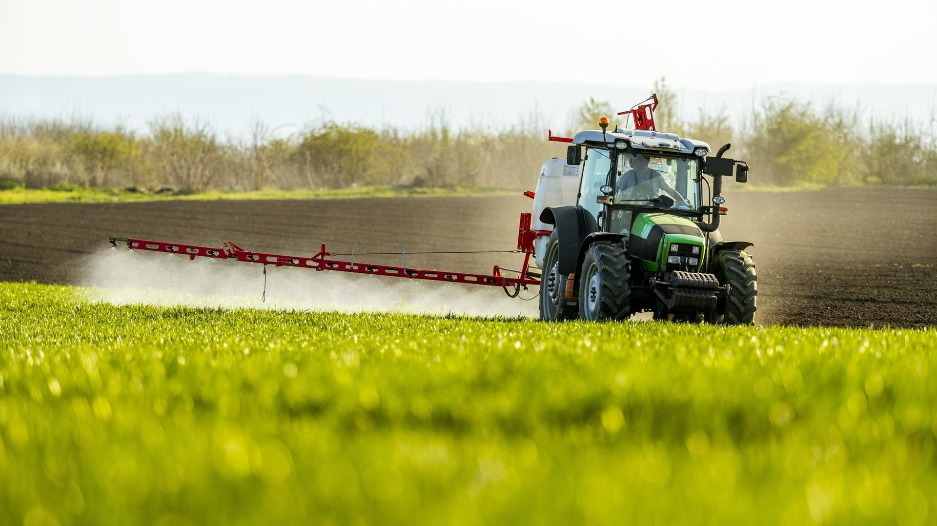 Réduire les pesticides : quelles conséquences économiques pour les filières agro‑alimentaires ?