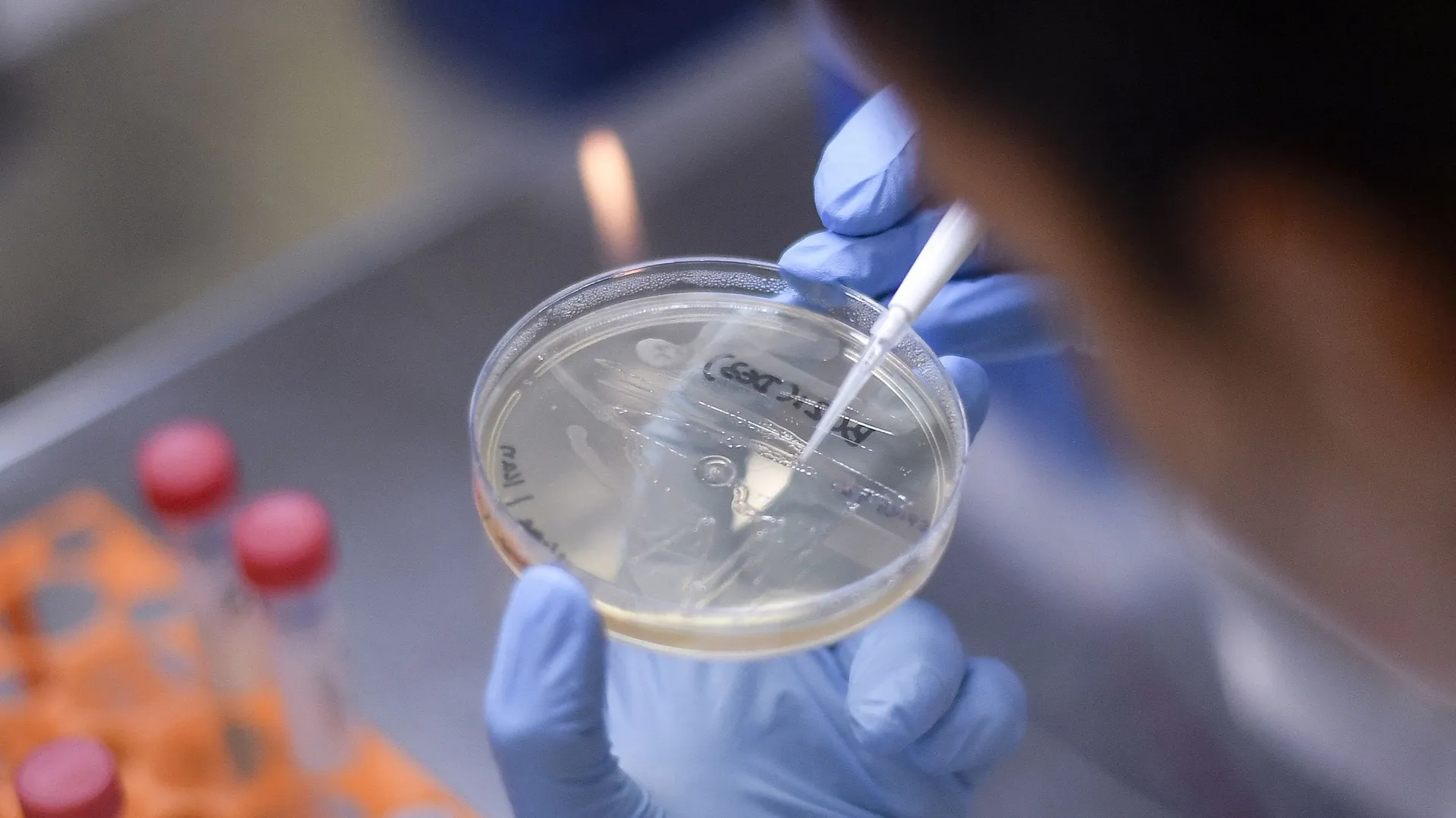 Coronavirus : la chloroquine, médicament miracle, vrai ou faux ? - RTBF ...