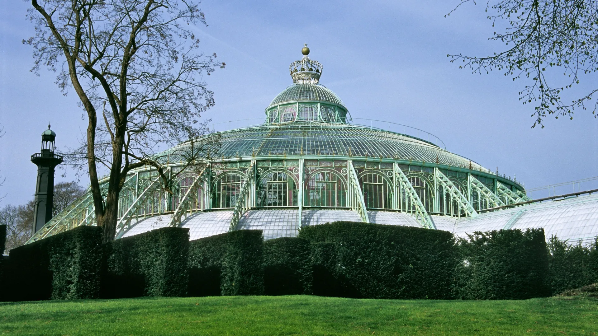 Herbier du département congolais des Serres royales de Laeken. main image 0