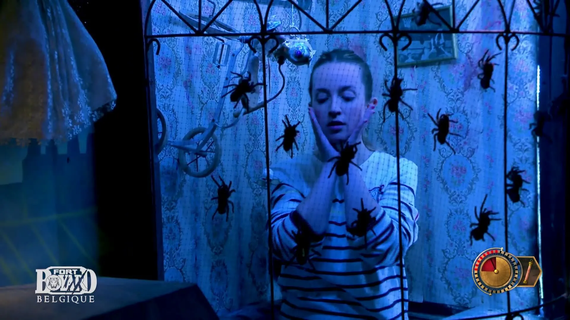 Cris Insectes Et Panique Zoé Brunet Face à L épreuve Du Laboratoire