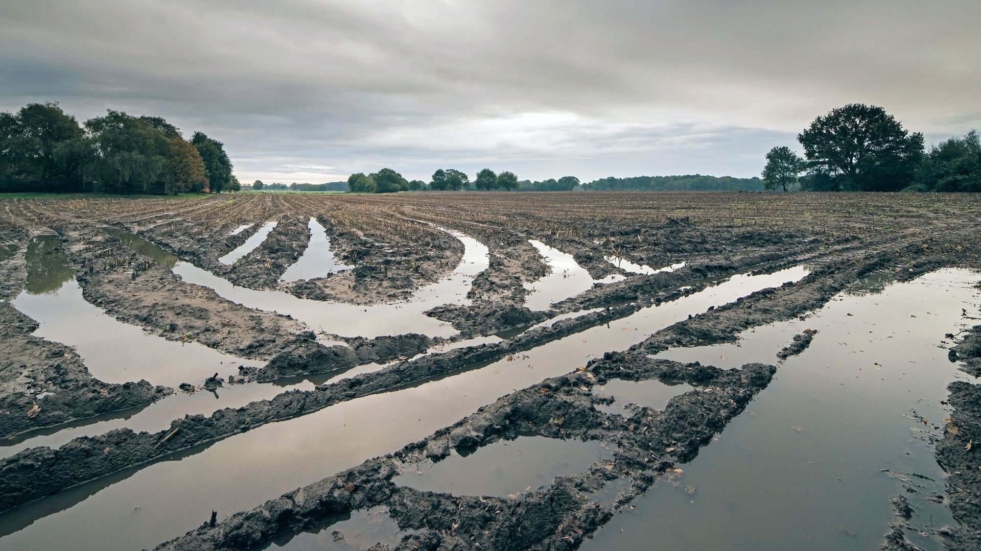 Pluies et orages intenses : "Les agriculteurs ne doivent pas porter seuls les risques climatiques", selon la Fédération Wallonne de l’Agriculture