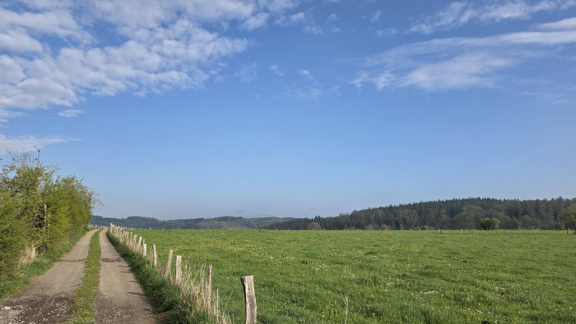 Météo en Belgique : des éclaircies plus présentes cet après-midi