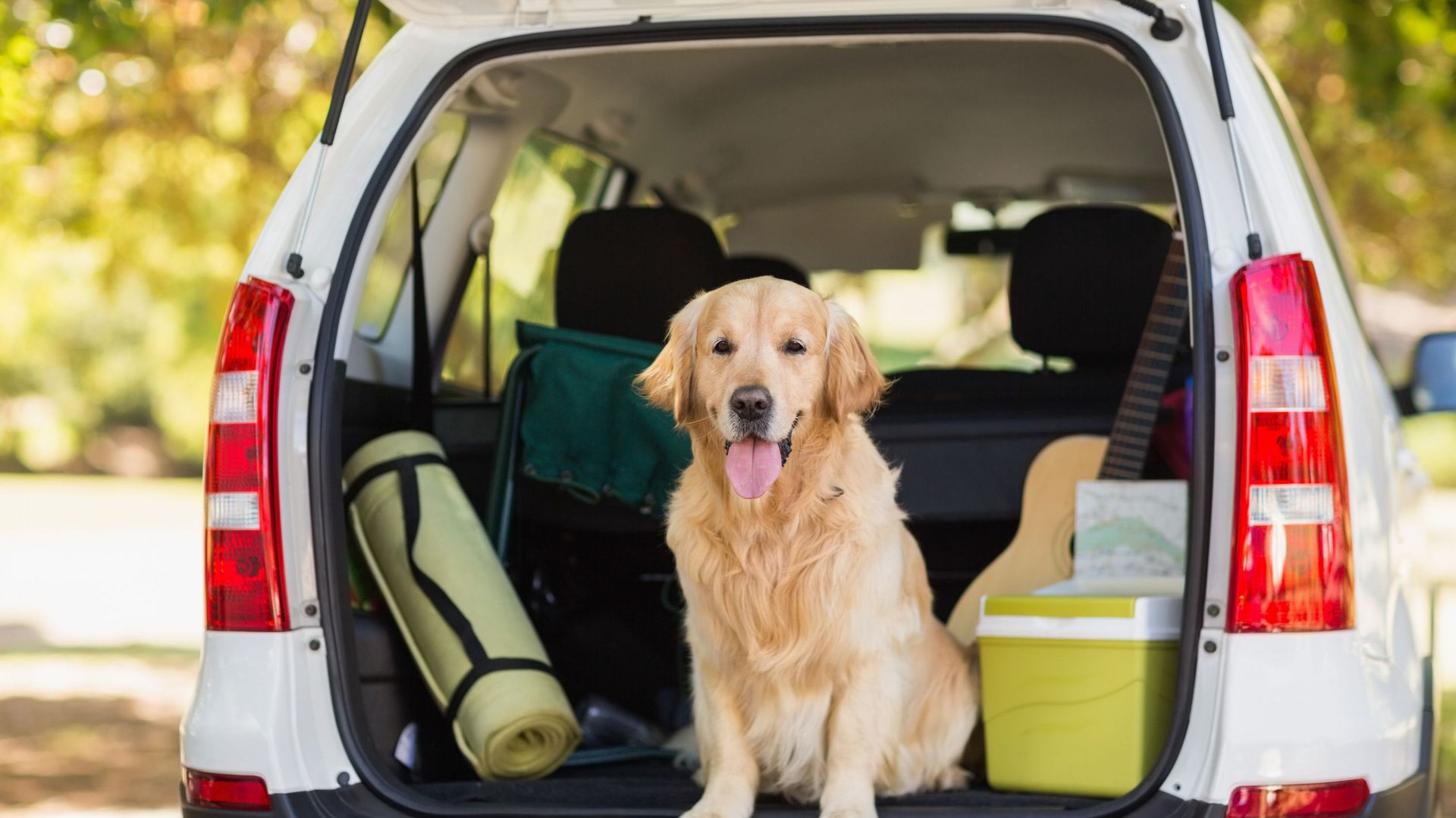 Transports, budget, stress : y a-t-il de meilleurs jours de la semaine pour partir en vacances ?
