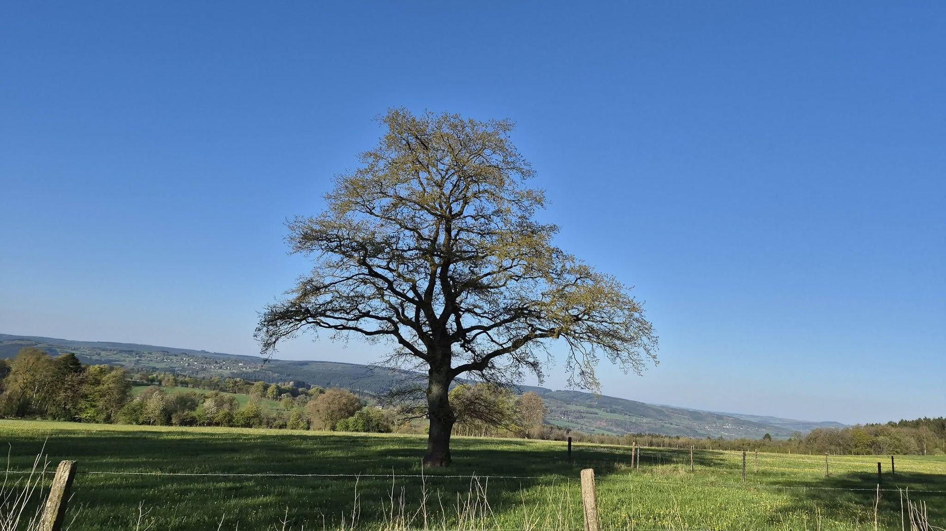 La météo en Belgique : un après-midi lumineux