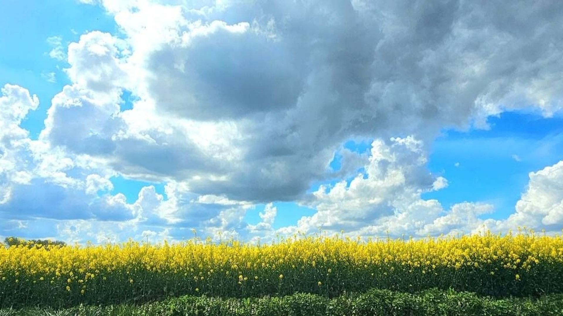 La météo en Belgique : un ciel partagé et un temps un peu frisquet