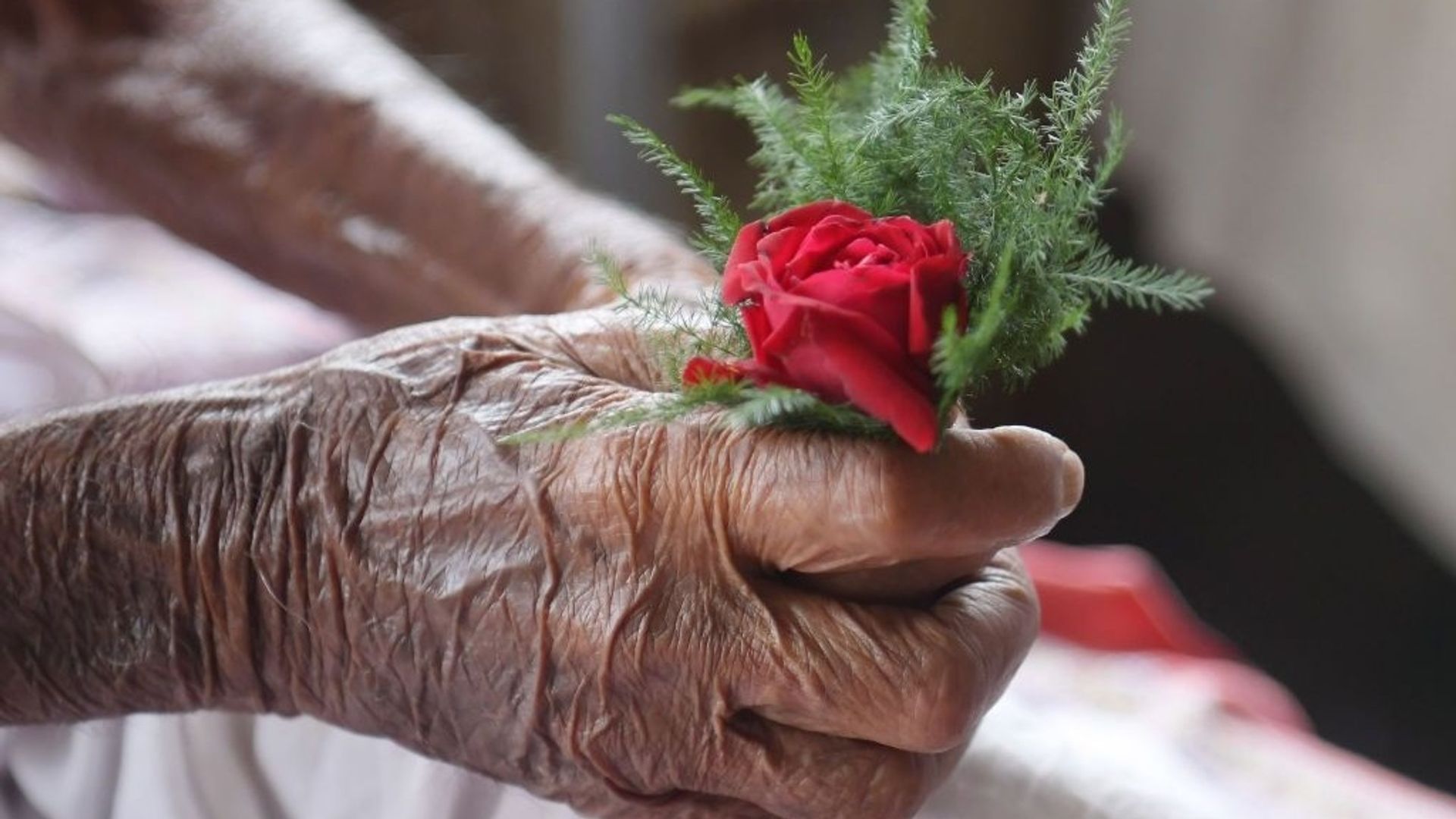 La tuberculose : de "mal romantique" à la maladie infectieuse la plus meurtrière au monde