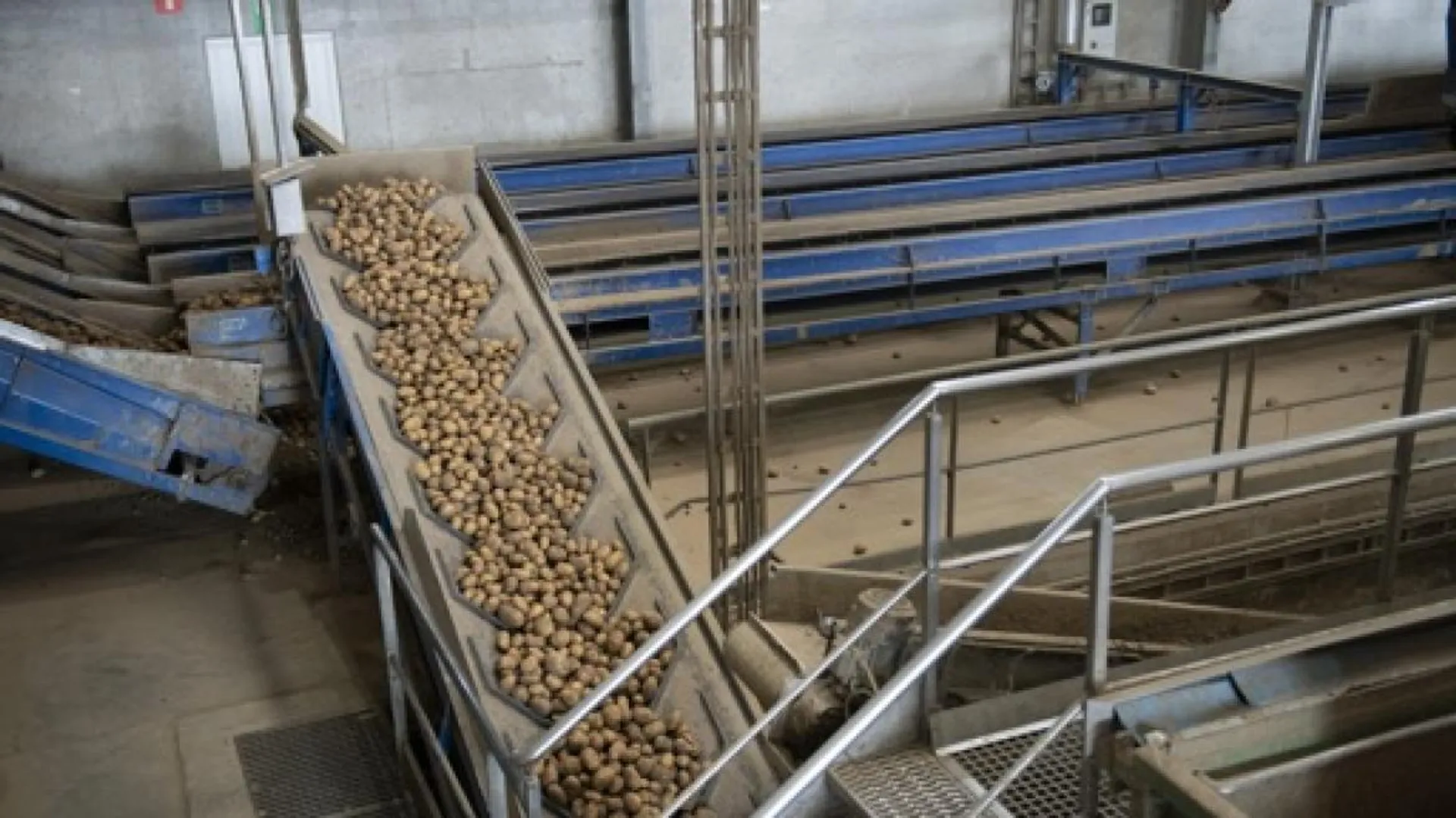 Surproduction de pommes de terre : une ASBL propose d’en vendre à prix ...