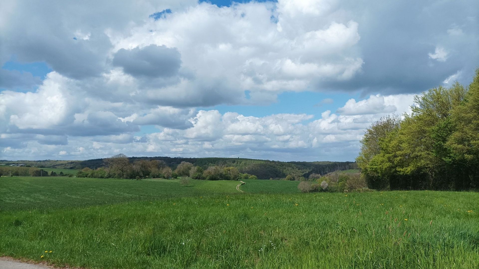 La météo en Belgique : après-midi plus nuageux avec quelques ondées