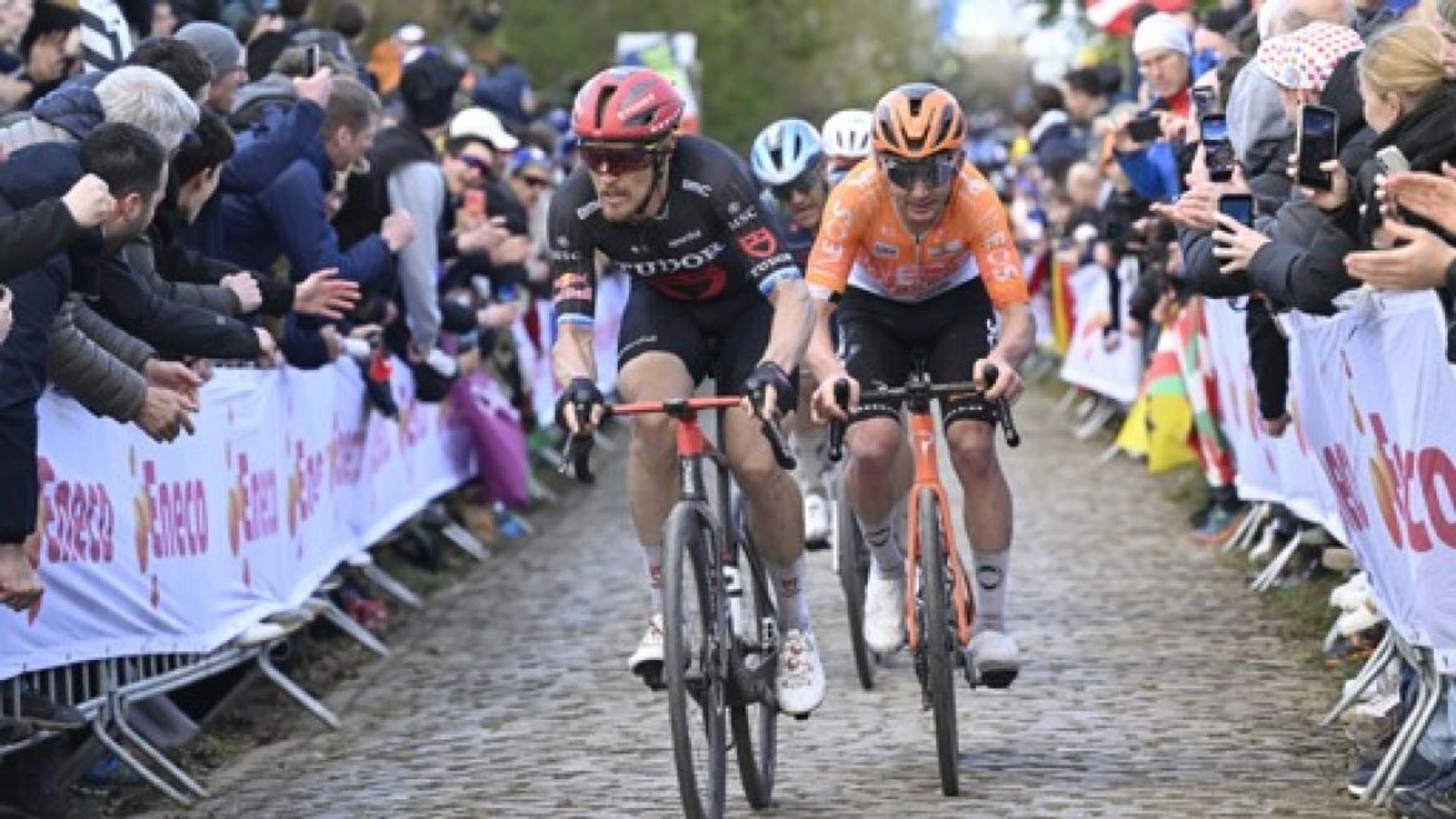 Matteo Trentin souffre d'une fracture de la clavicule et doit renoncer à Paris-Roubaix