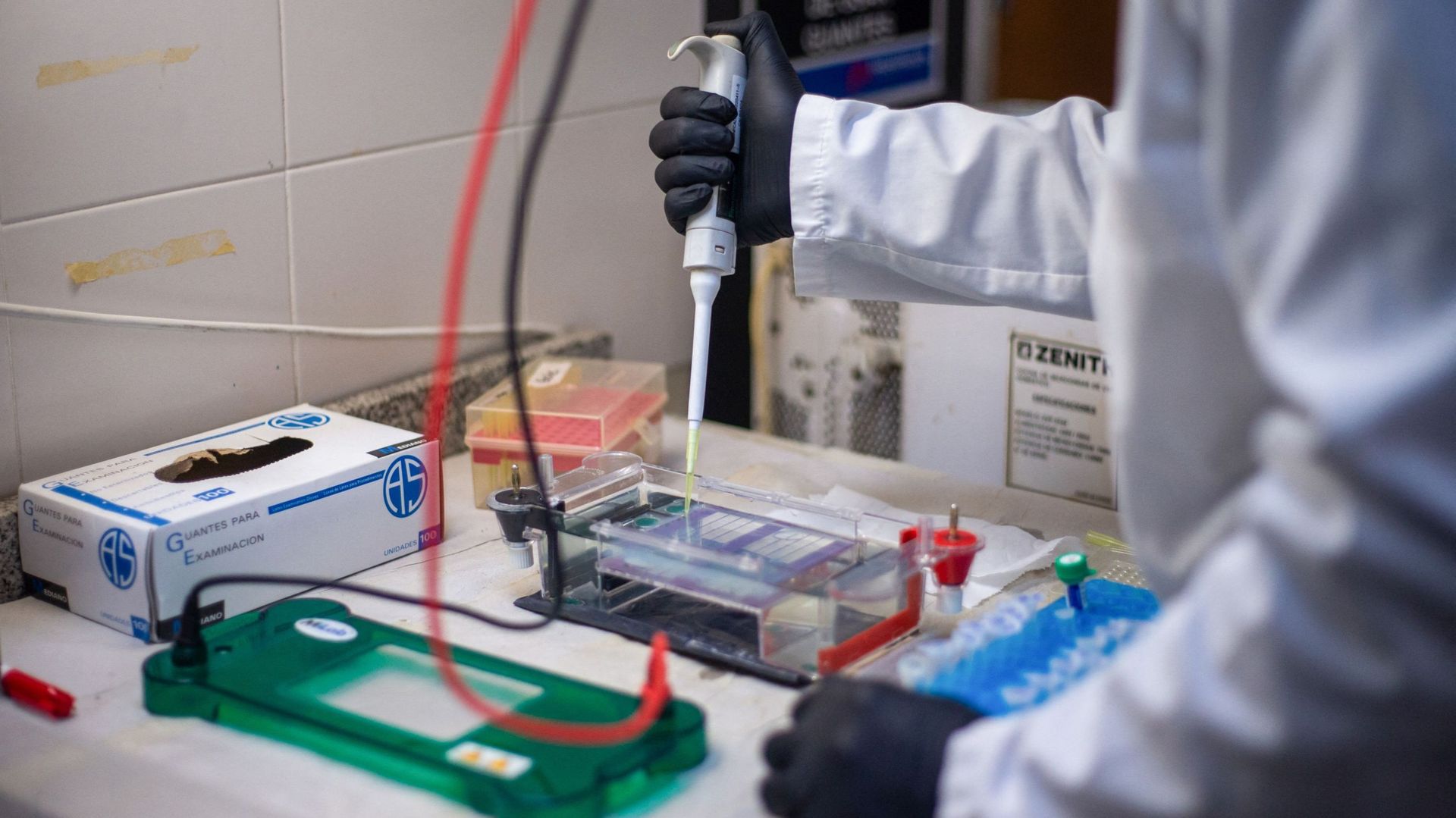 Argentine : l'institut qui enquête sur l'hantavirus cible des coupes budgétaires de Milei