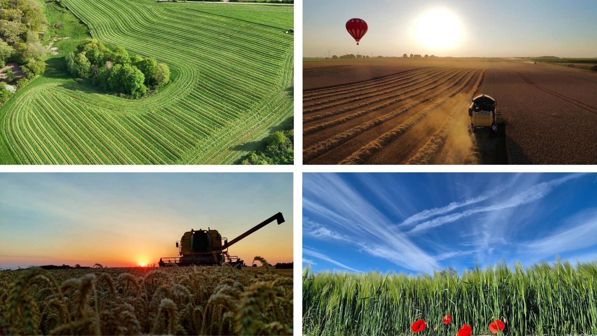 Concours photo "Quel Temps pour la Planète" : découvrez les 15 lauréats de l’édition 2026
