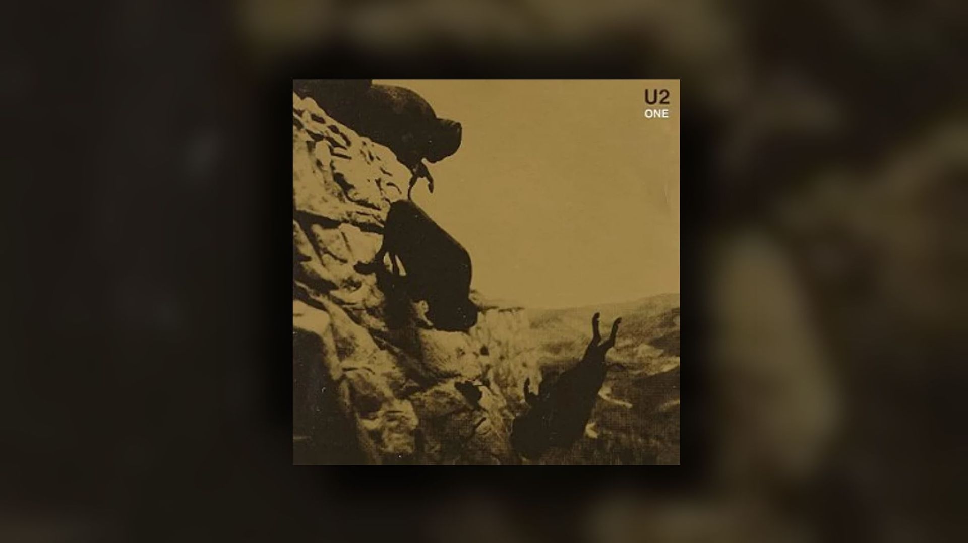 "One" l’hymne profondément pacifiste de U2