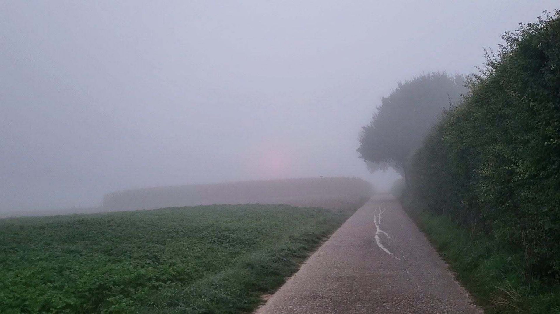 Météo en Belgique : du brouillard en début de matinée puis le retour du soleil