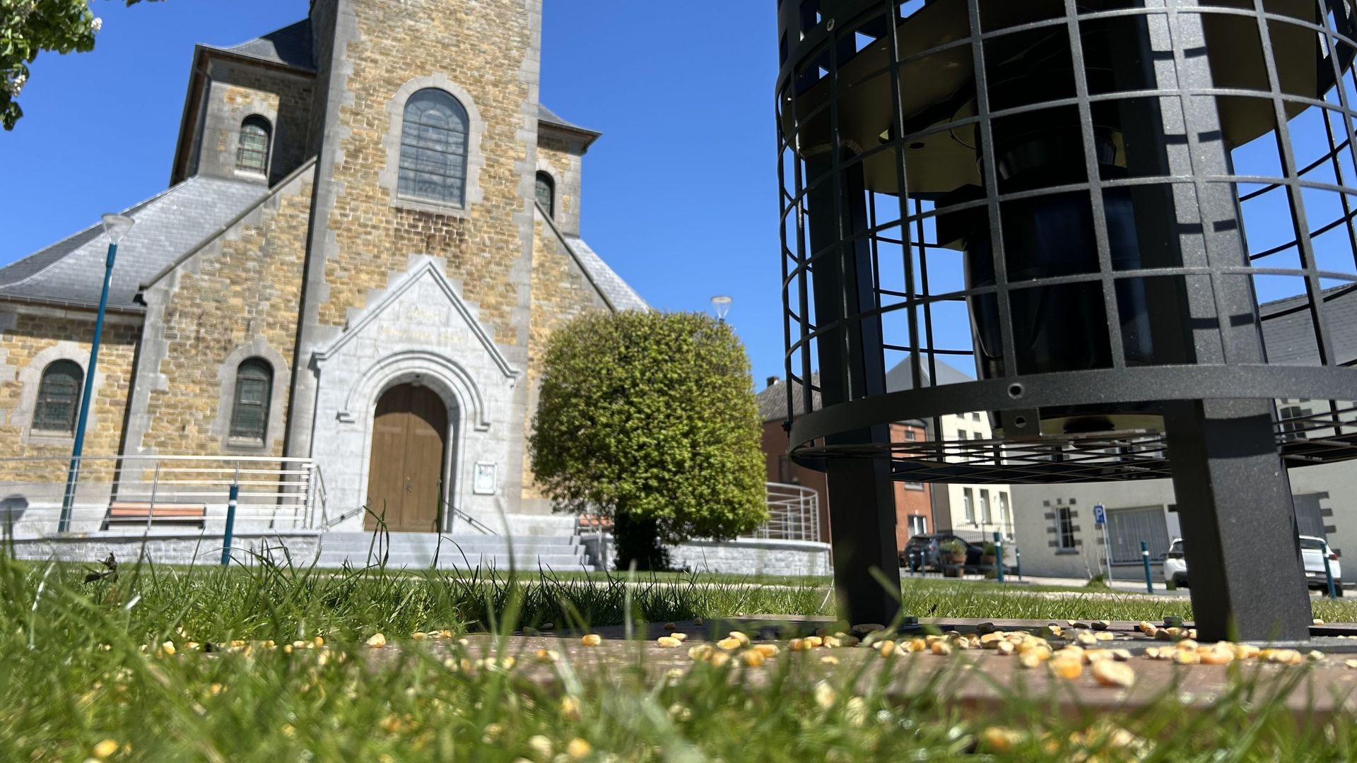 Sivry : un distributeur de graines pour stériliser les pigeons