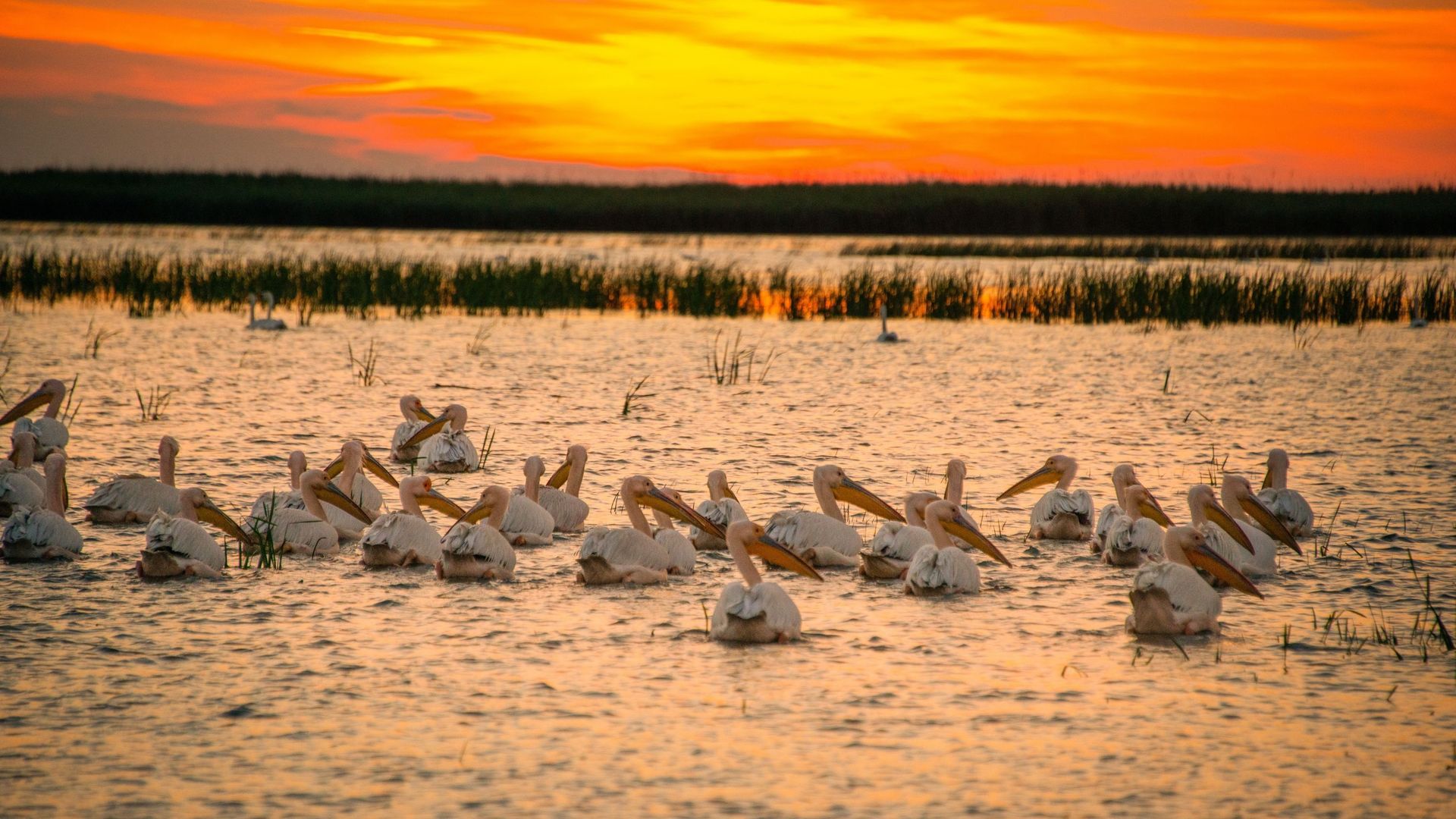 L’authenticité des traditions en Roumanie de train en train