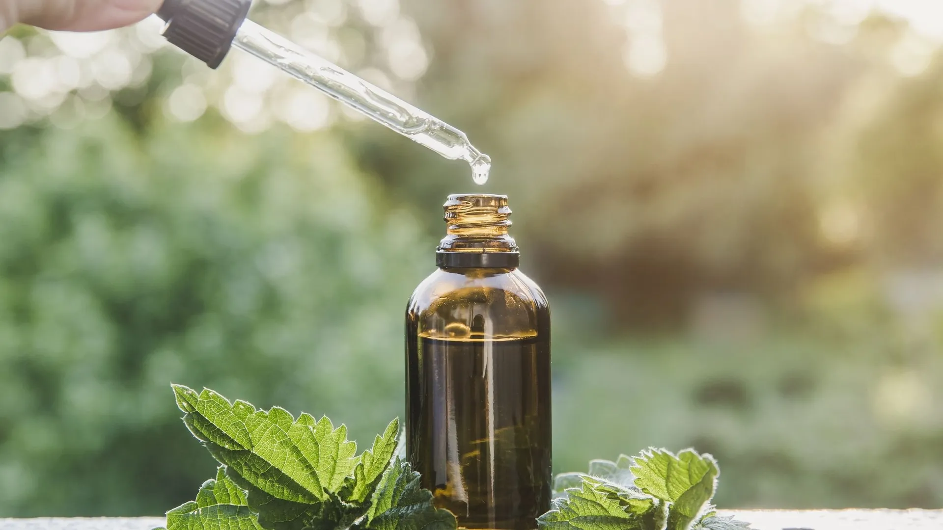Quelles huiles végétales pour diluer les huiles essentielles ? RTBF Actus — free download