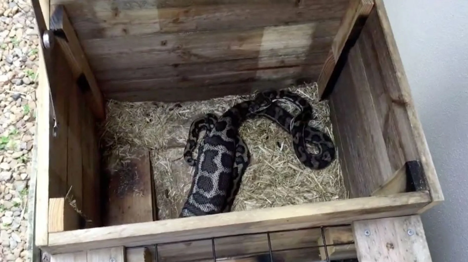 Prix D Un Python