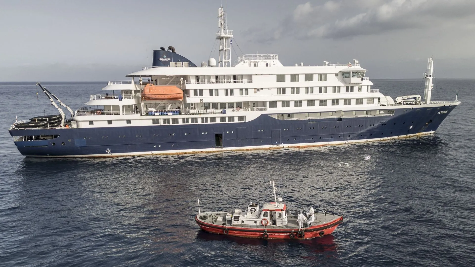 Hantavirus sur un bateau de croisière : test négatif pour l’hôtesse de ...