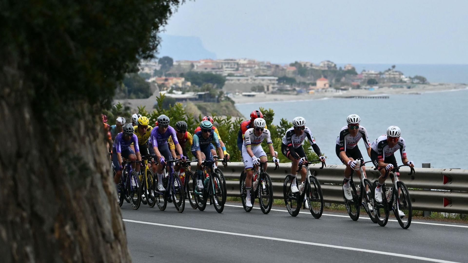 "L’apathie" du peloton suite à la chute de Pogacar pose question : "C’était bizarre, on s’est demandé ce qu’il allait se passer"