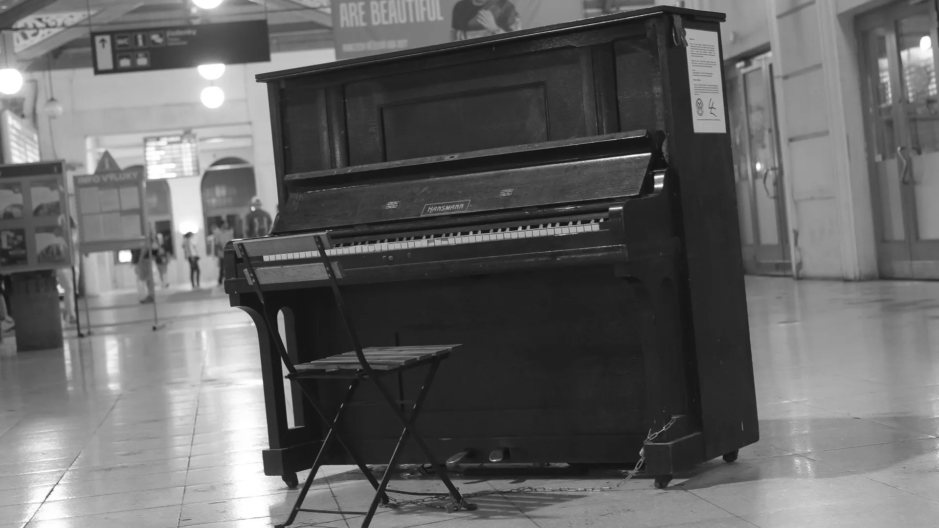 Shani Loading De l’électro au piano, Veridis Quo des Daft Punk sous les doigts de ...