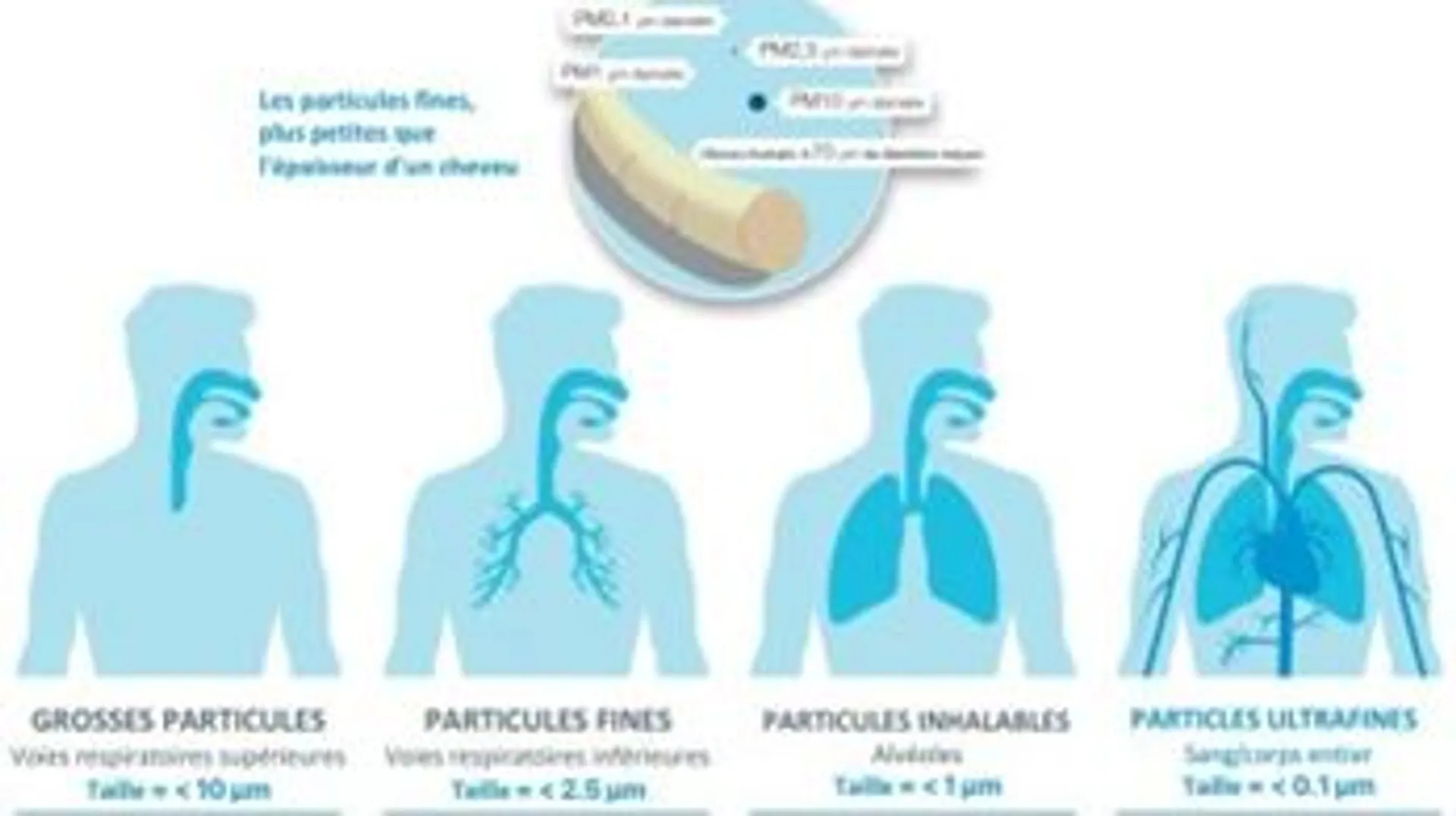 La pollution atmosphérique : grande responsable de la variation de la ...