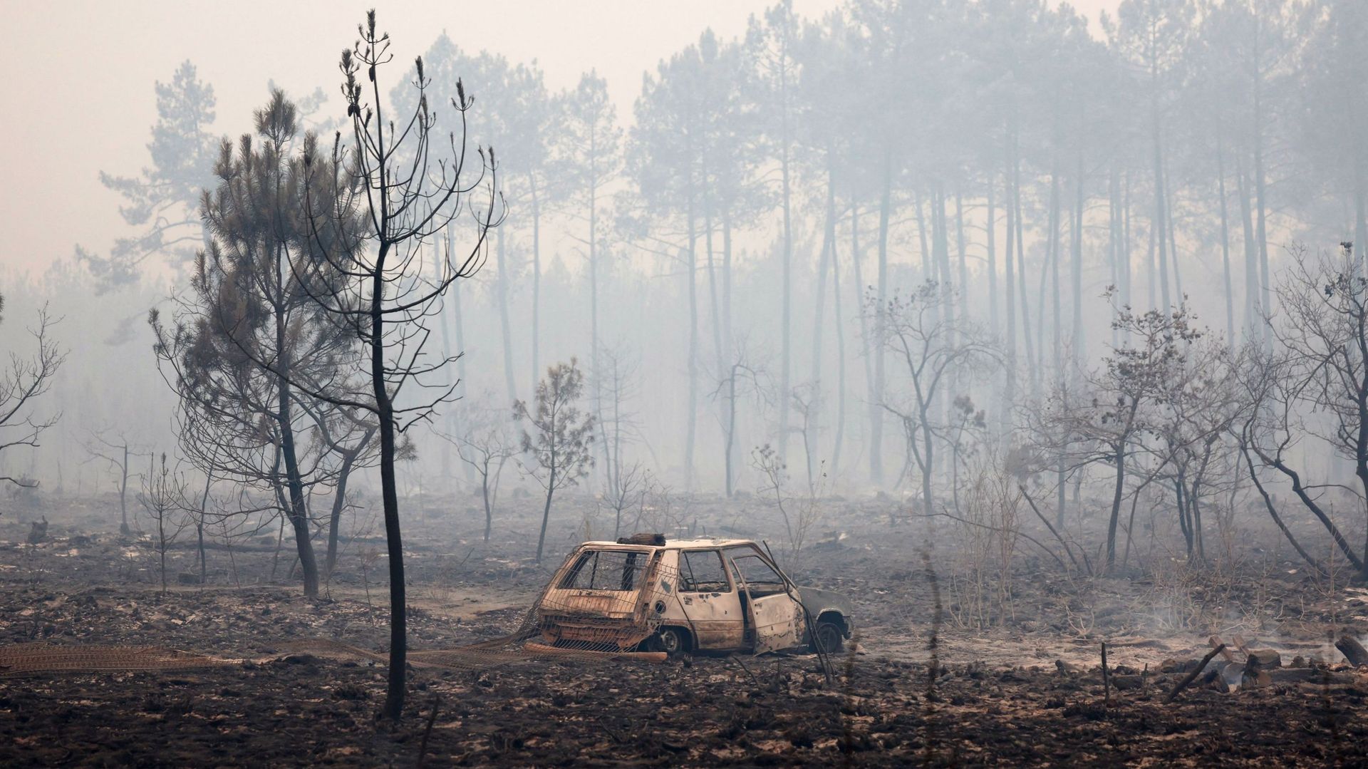 Incendies en Gironde : que va devenir le bois des milliers d'hectares de forêt ravagés ?