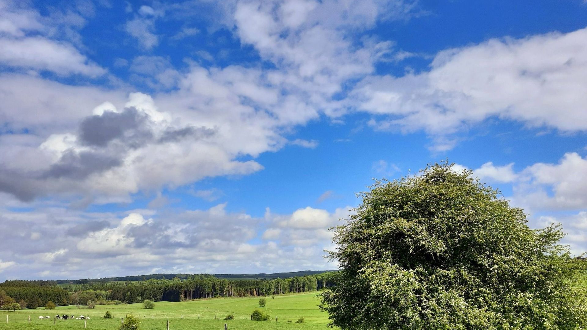 Météo en Belgique : le soleil revient et s'installe ce jeudi
