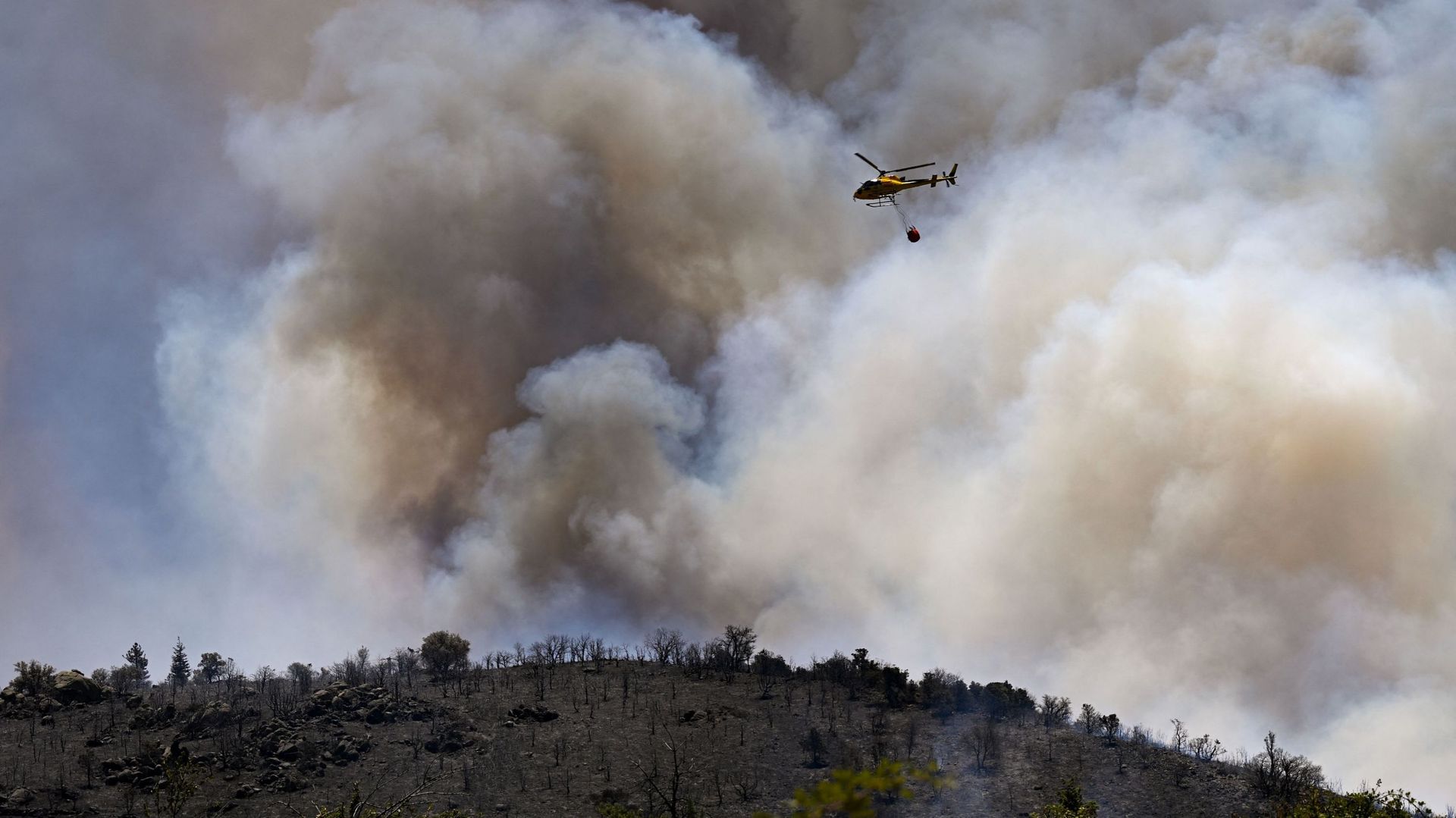 La troisième étape du Tour de France 2026 annulée à cause d’un incendie ? "La décision sera prise en fin de journée"